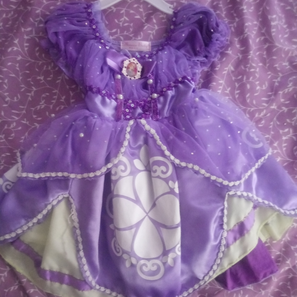 Sofia the 1st dress/costume 2t